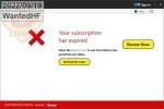 19.webp