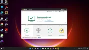 norton expiry.webp