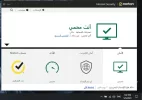 Capture.webp