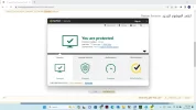 norton.webp