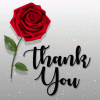 ThankYouGIF.gif