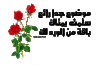forum.zyzoom.gif