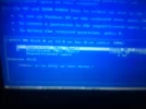5025.webp