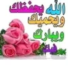 FB_IMG_1705265052895.webp