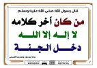 1747635664796.webp