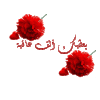1753720118003.gif