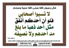 salaf0003.webp