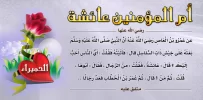 2114.imgcache.webp