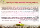 om_elmomenen2_copy.webp