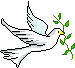 3d309c40a60f89472824fab0efee2f82.gif
