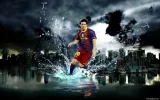 12.webp