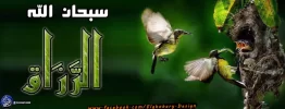 سبحان الله الرزاق.webp