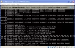 4.webp