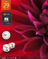 snapshot-4.webp