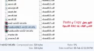 4.webp
