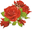 331.webp