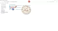 4.webp