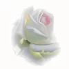 a.webp
