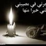 mohamed ali 85
