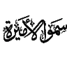 AmiraElhawary