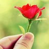 آميرة آلورد