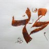الضاكتور
