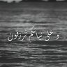 wael AL-wosabi