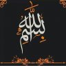 naif0770