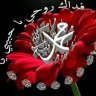 bara chouaib