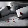 محمود البكري