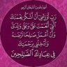 اشرف السيد
