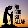 ARABIASIL