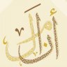 أنامل