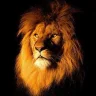 Ahmed.m.m.eb