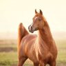 abdelbasset.touil