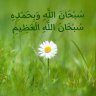 توووكي