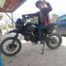 anisbus