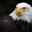 EAGLE_2006
