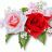 mustafa29800