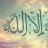 FOUZI33