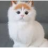 myaw